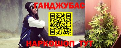 стаф Шебекино