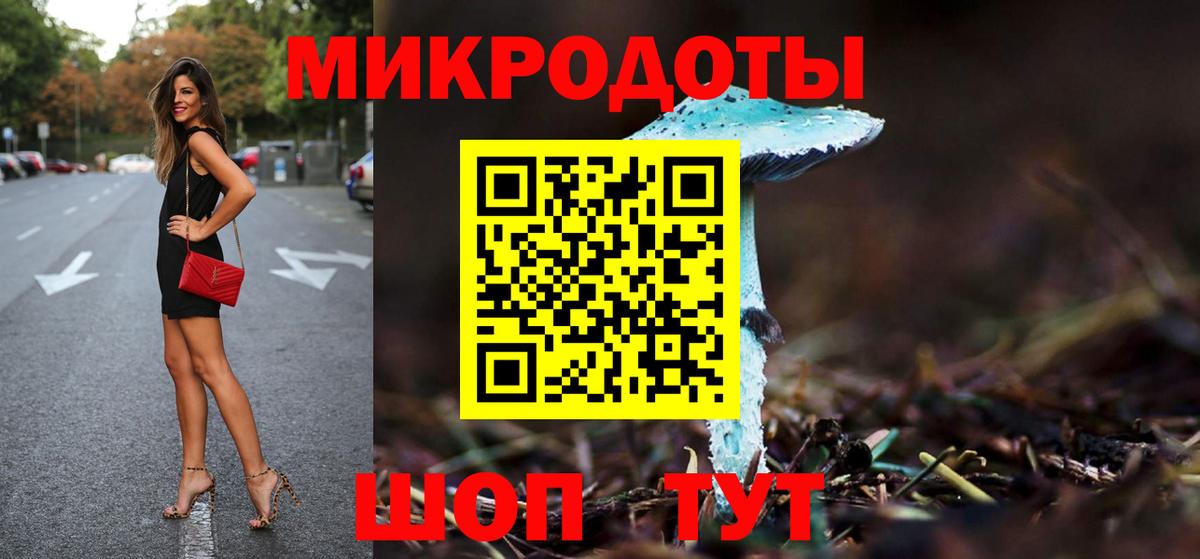 Псилоцибиновые грибы Cubensis Фурманов