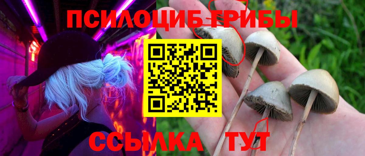 Фурманов  Псилоцибиновые грибы Magic Shrooms  Вход с VPN  Псилоцибиновые грибы MAGIC MUSHROOMS 